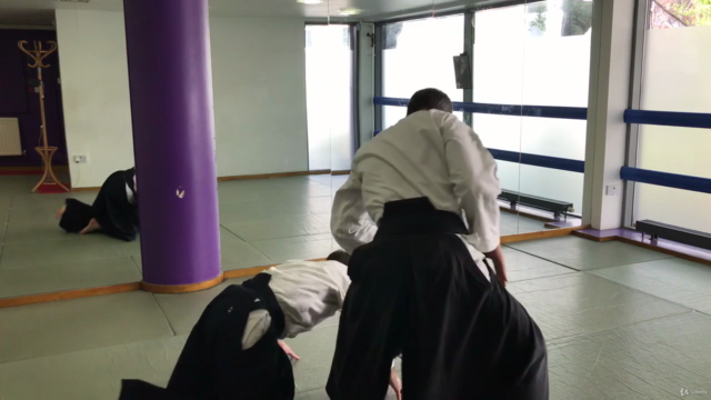 Aikido ABC - Vol 2. Basic techniques – Screenshot 2