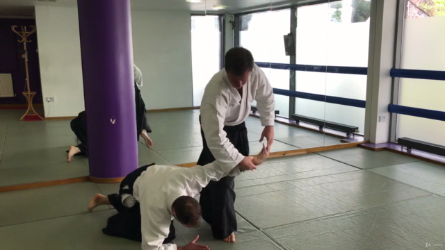 Aikido ABC - Vol 2. Basic techniques – Screenshot 3