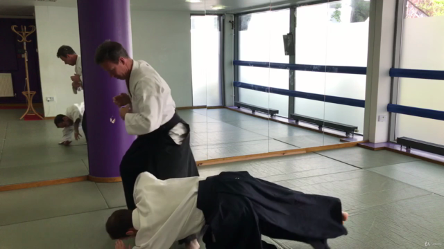 Aikido ABC - Vol 2. Basic techniques – Screenshot 4