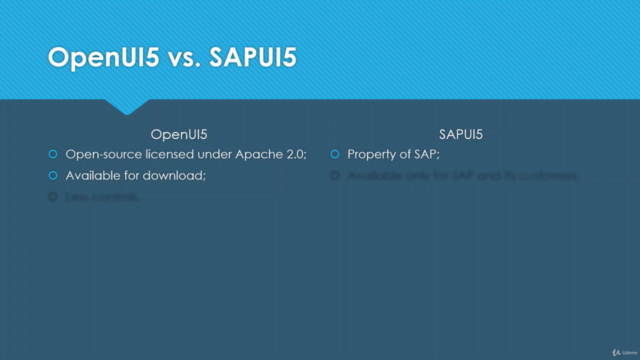 SAP® UI5 step-by-step for Fiori development [2022] – Screenshot 2