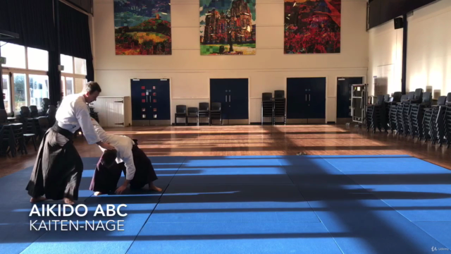Aikido ABC - Vol 3. Advanced techniques – Screenshot 1