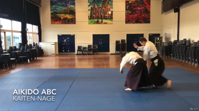 Aikido ABC - Vol 3. Advanced techniques – Screenshot 3