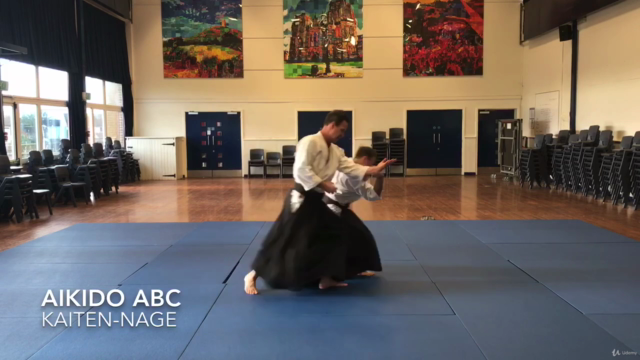 Aikido ABC - Vol 3. Advanced techniques – Screenshot 4