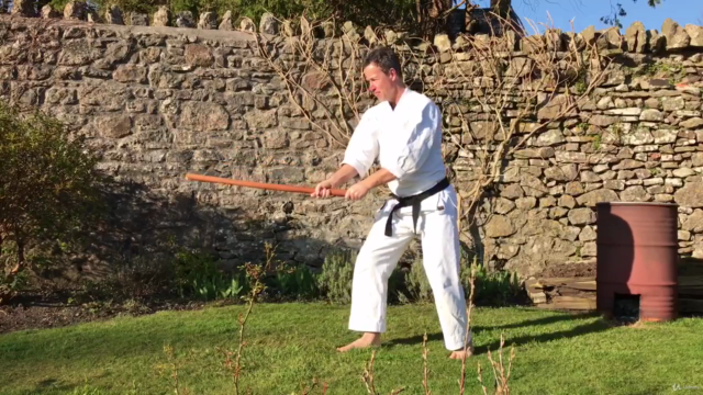Aikido ABC - Vol 4. Aiki Bokken – Screenshot 1
