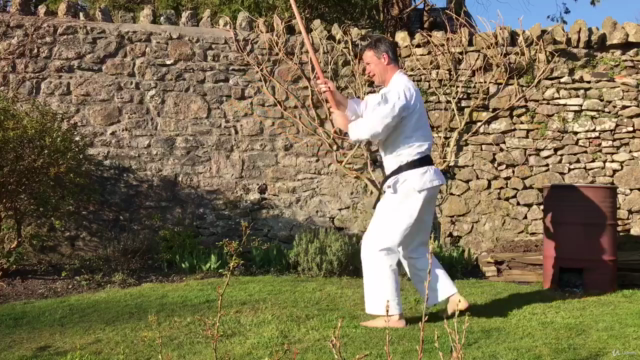 Aikido ABC - Vol 4. Aiki Bokken – Screenshot 2