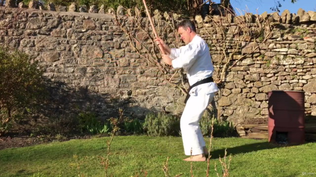 Aikido ABC - Vol 4. Aiki Bokken – Screenshot 3