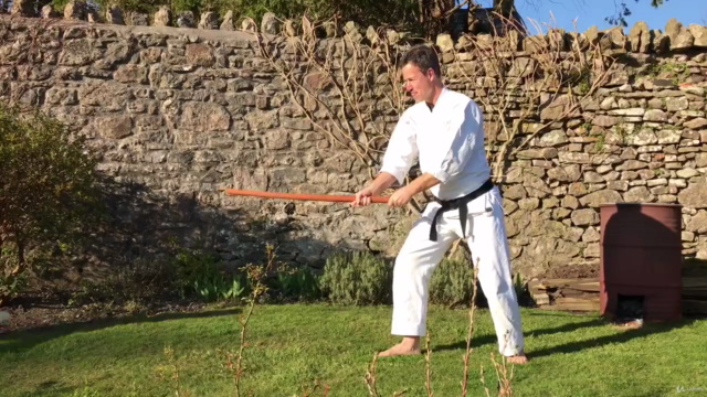 Aikido ABC - Vol 4. Aiki Bokken – Screenshot 4