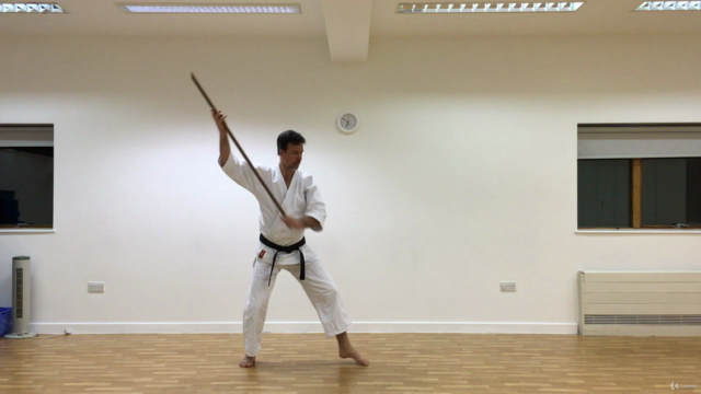 Aikido ABC - Vol 5. Aiki Jo – Screenshot 1