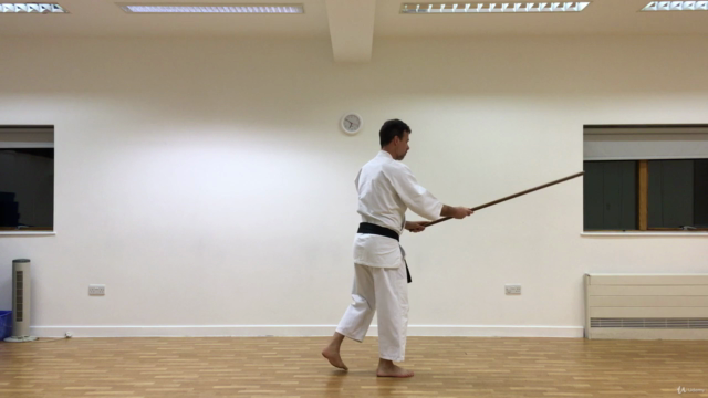 Aikido ABC - Vol 5. Aiki Jo – Screenshot 2