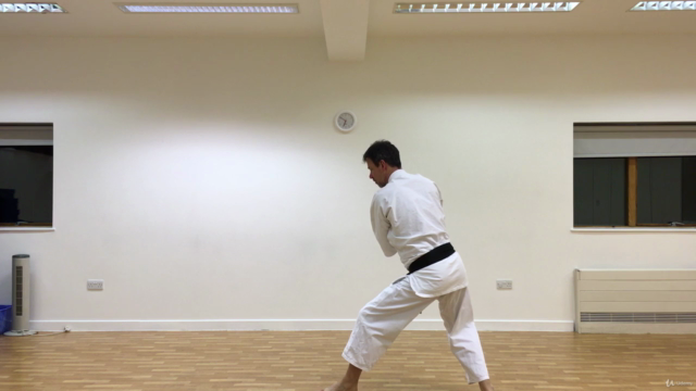 Aikido ABC - Vol 5. Aiki Jo – Screenshot 3