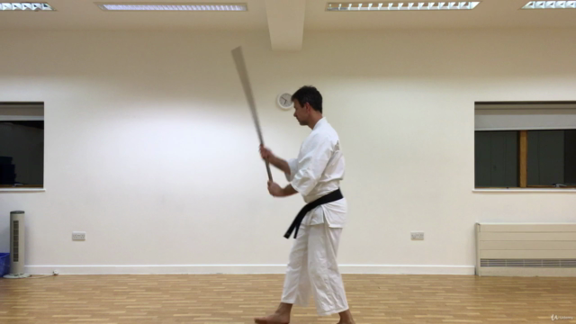 Aikido ABC - Vol 5. Aiki Jo – Screenshot 4