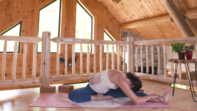 Yoga for Insomnia - Beginner Friendly Yoga for Sleep – Screenshot 2