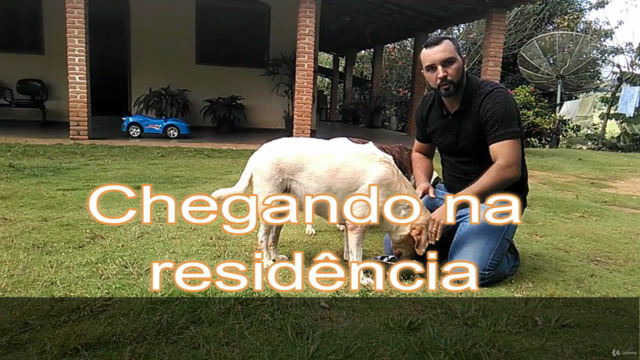 Adestramento Comportamental Para Cães de Casa e Apartamento – Screenshot 4