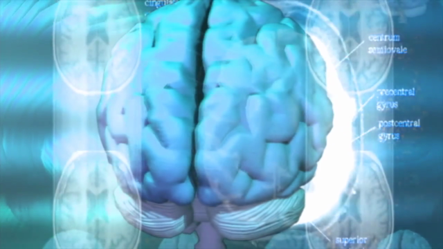 Transforma tu cerebro en un SUPERCEREBRO CREATIVO - Screenshot_02