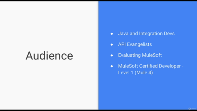 Mulesoft Certified Developer (Mule 4) – Screenshot 1