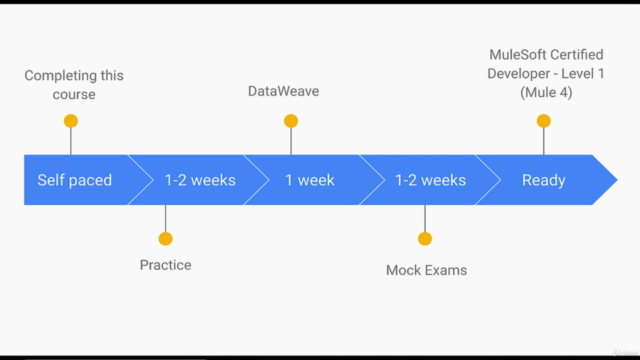 Mulesoft Certified Developer (Mule 4) – Screenshot 3