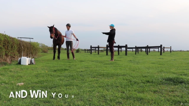 Speak the Horse Language: Master Your Horsemanship Energy – Screenshot 2
