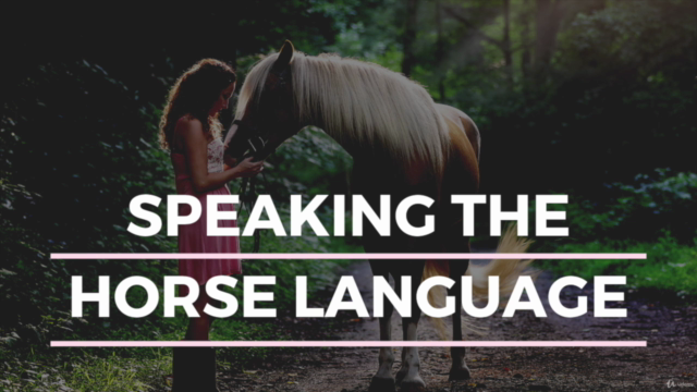 Speak the Horse Language: Master Your Horsemanship Energy – Screenshot 3