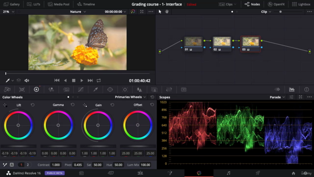 Complete Color Grading & Color Correction in DaVinci Resolve – Screenshot 2