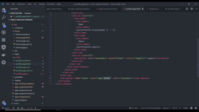 Ionic 4 Firebase with Angular-Build PWA, Native Android, iOS – Screenshot 3