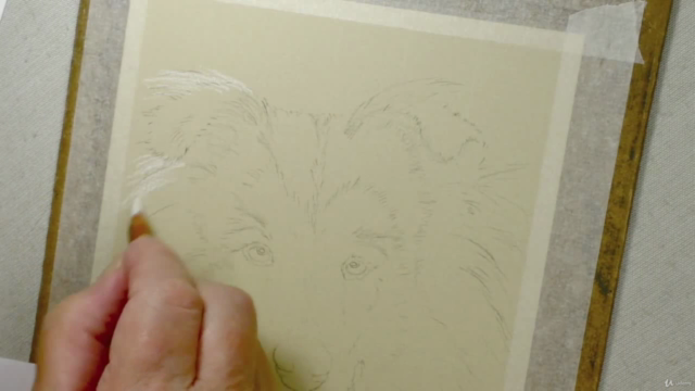 How To Draw Dogs Vol 1 - Pug, Collie, Labrador & Terrier – Screenshot 1