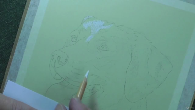 How To Draw Dogs Vol 1 - Pug, Collie, Labrador & Terrier – Screenshot 2