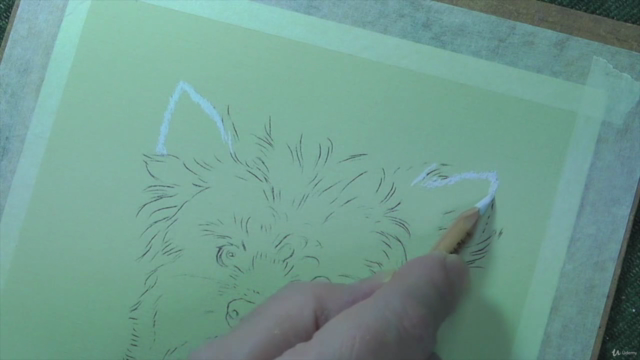How To Draw Dogs Vol 1 - Pug, Collie, Labrador & Terrier – Screenshot 4