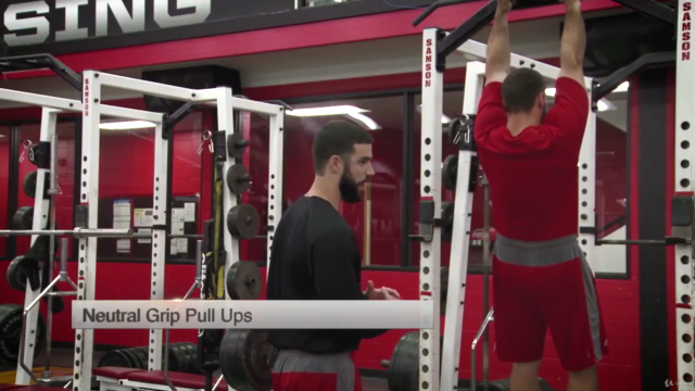 Strength and Conditioning for Sports – Screenshot 1