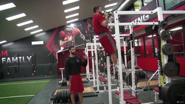 Strength and Conditioning for Sports – Screenshot 2
