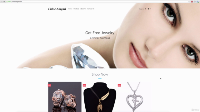 Shopify eCommerce Cash Machine - Screenshot_01