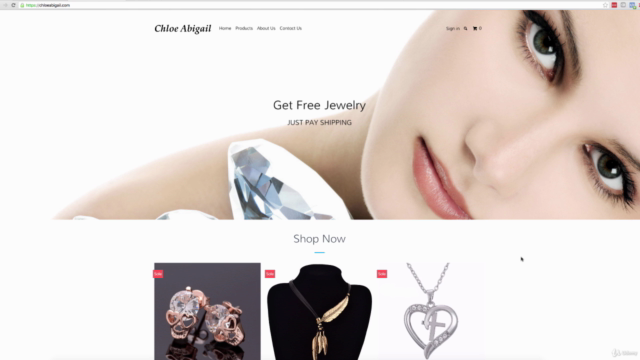 Shopify eCommerce Cash Machine - Screenshot_02
