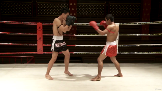 Muay Thai (Thai-Boxen): Verteidigungs- und Kontertechniken – Screenshot 1