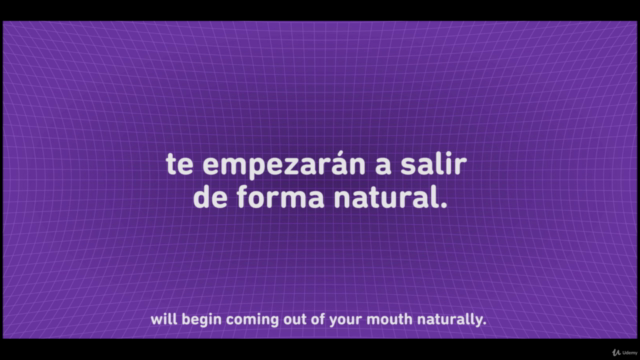 Spanish: The Most Useful Phrases +300 – Screenshot 4