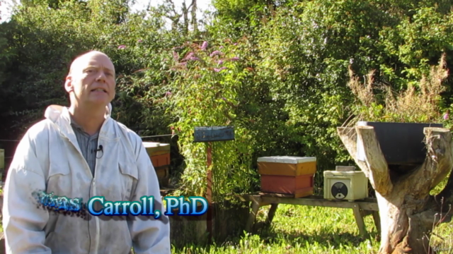Beekeeping: A first course for Aspiring Beekeepers – Screenshot 1