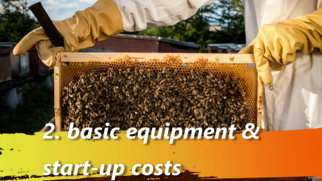 Beekeeping: A first course for Aspiring Beekeepers – Screenshot 2