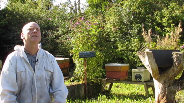 Beekeeping: A first course for Aspiring Beekeepers – Screenshot 3