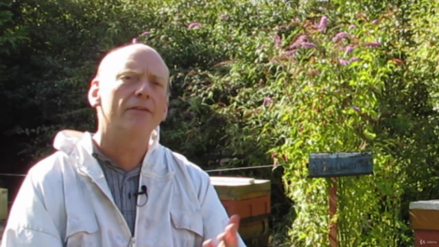 Beekeeping: A first course for Aspiring Beekeepers – Screenshot 4