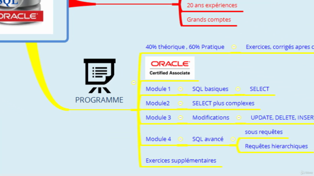 SQL Oracle, Cours Théorique : Du débutant à la Maîtrise - Screenshot_01