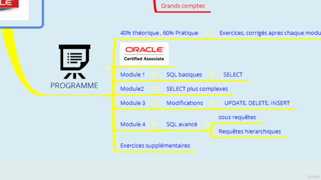 SQL Oracle, Cours Théorique : Du débutant à la Maîtrise - Screenshot_02