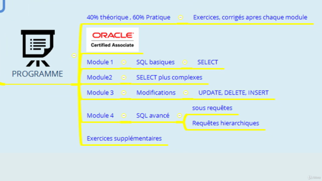SQL Oracle, Cours Théorique : Du débutant à la Maîtrise - Screenshot_03