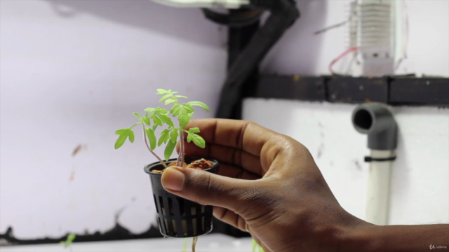 IOT enabled hydroponics indoor automated system – Screenshot 4