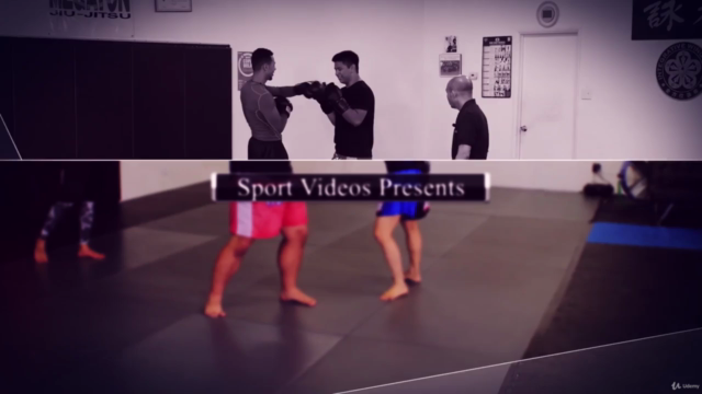 Muay Thai Tips and Techniques – Screenshot 1