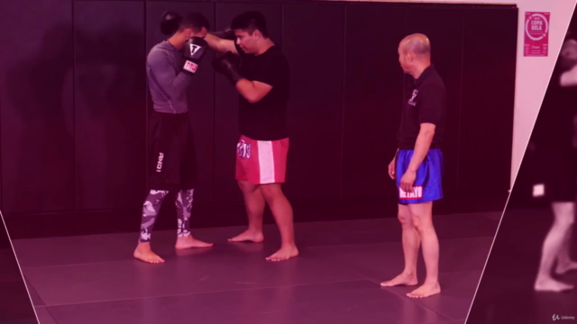 Muay Thai Tips and Techniques – Screenshot 2