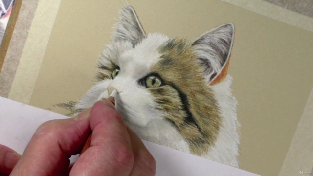 How to Draw Cats with Pastel Pencils – Screenshot 2