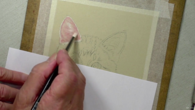 How to Draw Cats with Pastel Pencils – Screenshot 3