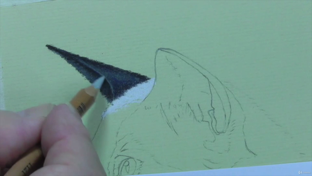 How to Draw Cats with Pastel Pencils – Screenshot 4