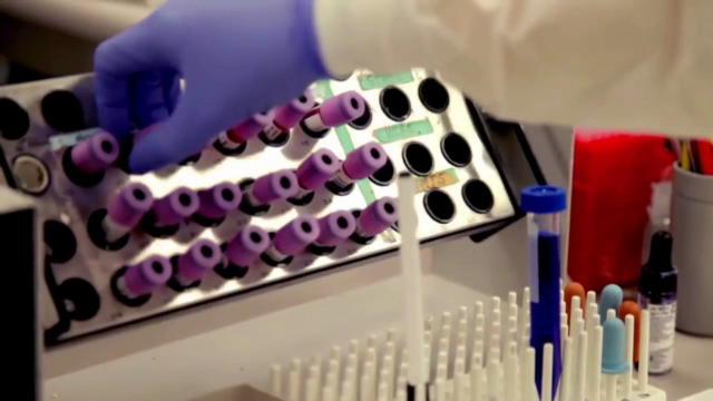 CRISPR/Cas9 Crash Course for Beginners – Screenshot 2