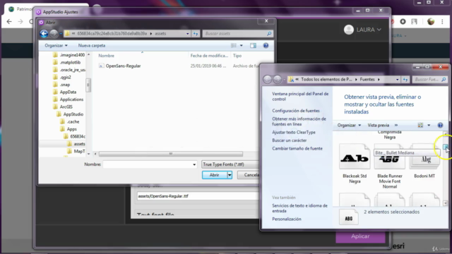 ArcGIS Pro advanced - AulaGEO – Screenshot 4