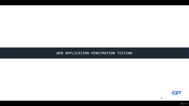 Web application Penetration Testing – Screenshot 1