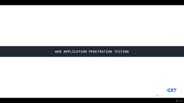 Web application Penetration Testing – Screenshot 3